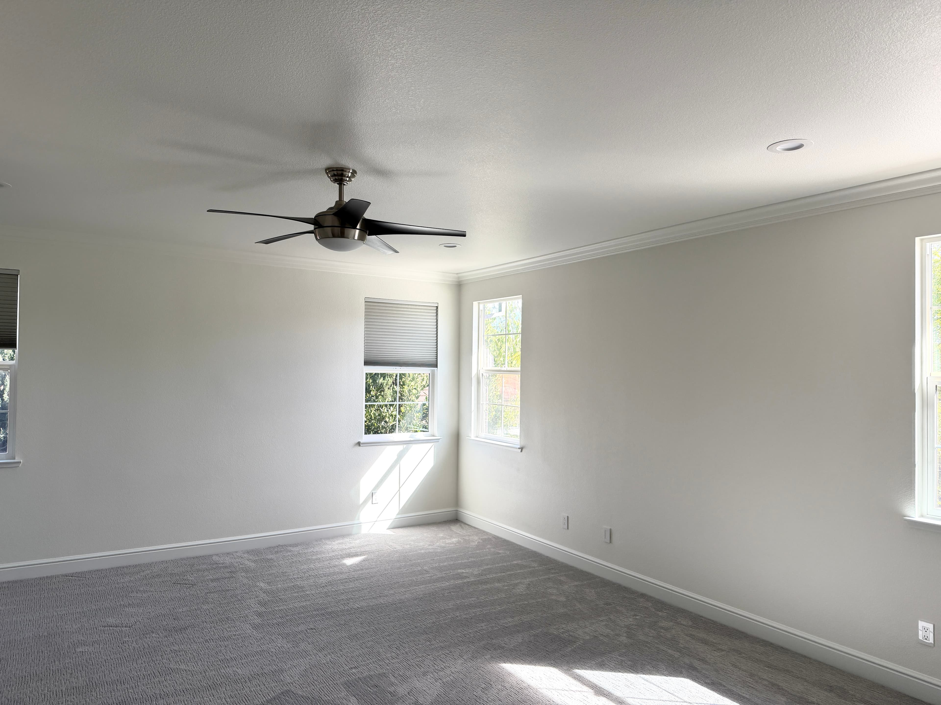 Whole-Home Interior Painting